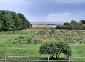 River Lily Farm