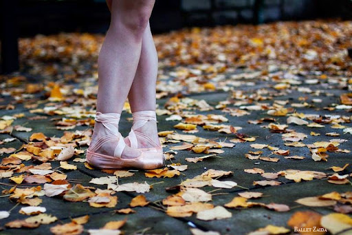 Dance School «Windsor Dance Academy», reviews and photos, 5455 Old Redwood Hwy, Larkfield-Wikiup, CA 95403, USA