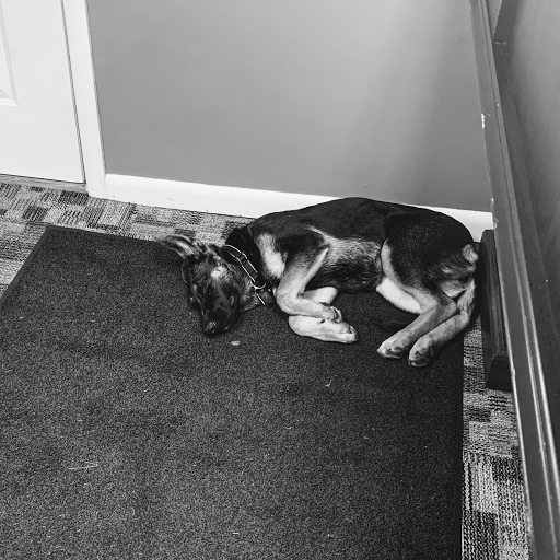 Computer Repair Service «W.A.C.D.,LLC», reviews and photos, 810 S Buffalo St, Warsaw, IN 46580, USA