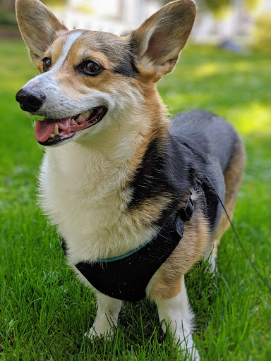 Park «Denny Park», reviews and photos, 100 Dexter Ave N, Seattle, WA 98109, USA