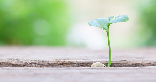 Betty's Acupuncture and Wellness Center, 1111A Austin Ave, Coquitlam, BC V3K 3P4