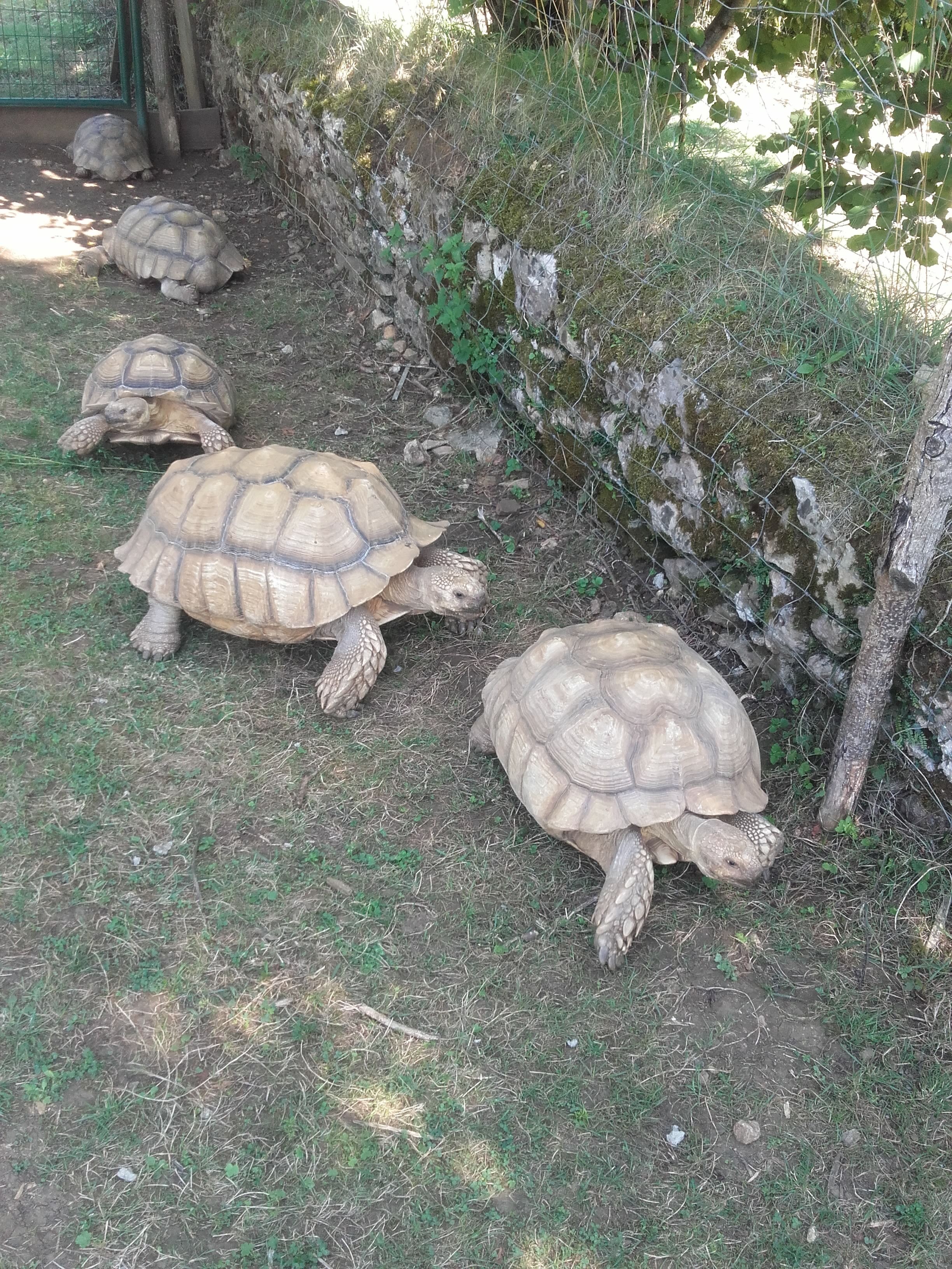 Photo n° 8 de l'avis de Sabrina.a fait le 24/08/2019 à 09:26