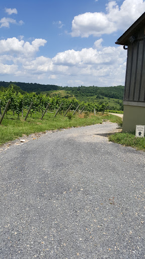 Vineyard «Linden Vineyards», reviews and photos, 3708 Harrels Corner Rd, Linden, VA 22642, USA