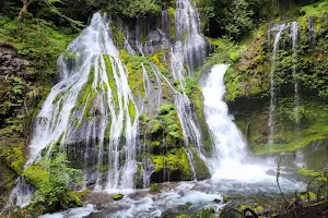 Panther Creek Falls image