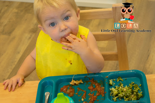 Day Care Center «Little Owl Learning Academy», reviews and photos, 10911 Fox Wood Commerce Dr, New Port Richey, FL 34655, USA