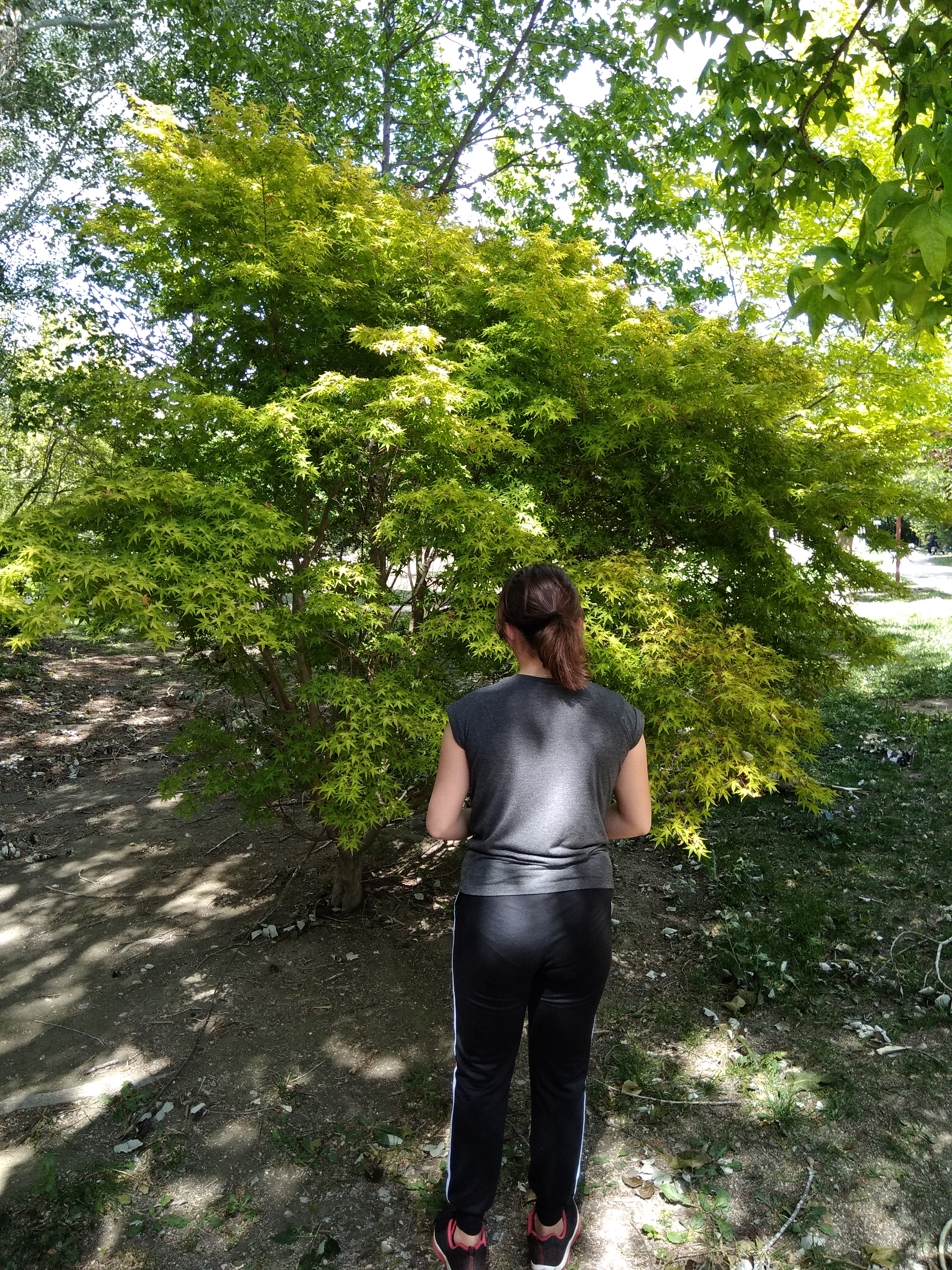 Photo n° 2 de l'avis de Kezia.r fait le 09/05/2019 à 14:40