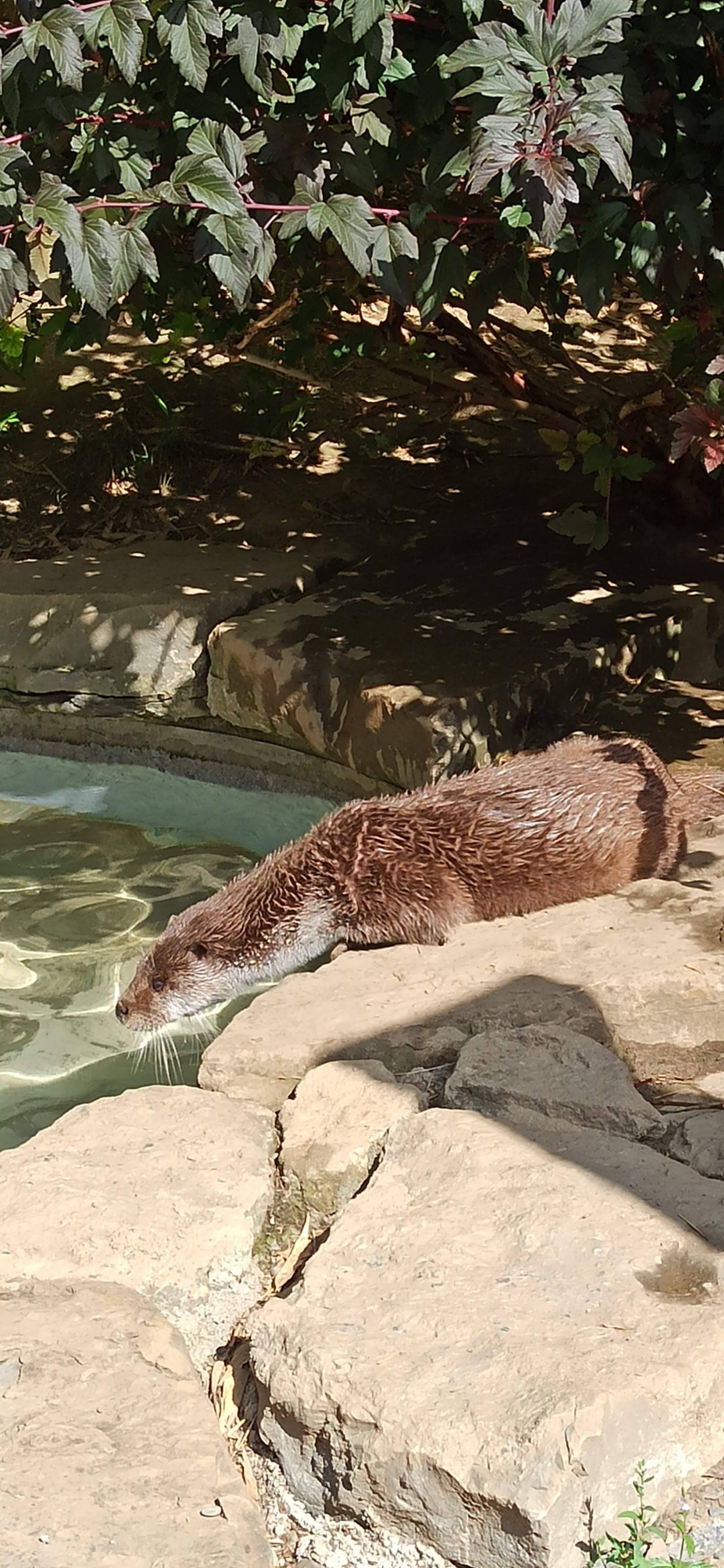 Photo n° 2 de l'avis de Carine.O fait le 20/08/2023 à 06:17