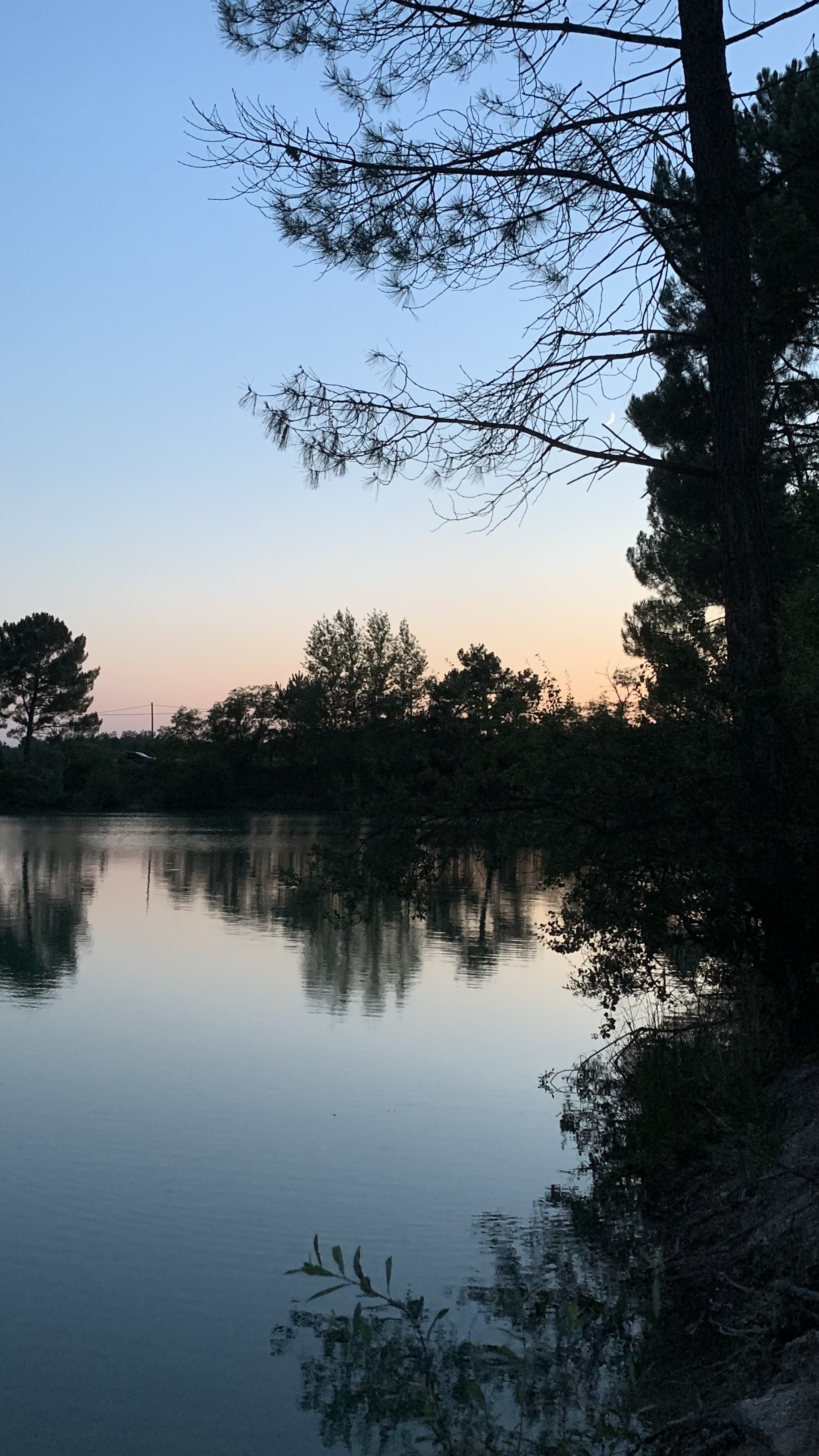 Photo n° 1 de l'avis de Cloé.a fait le 12/07/2023 à 10:38