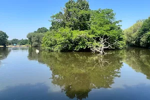 Tooting Commons image