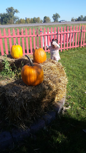 Produce Market «Welsh Heritage Farms», reviews and photos, 20758 528th Ave, Lake Crystal, MN 56055, USA