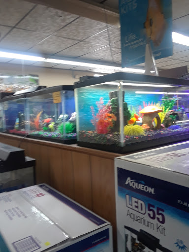 Pet Store «Southside Pet Shop», reviews and photos, 7031 Southside Dr, Louisville, KY 40214, USA