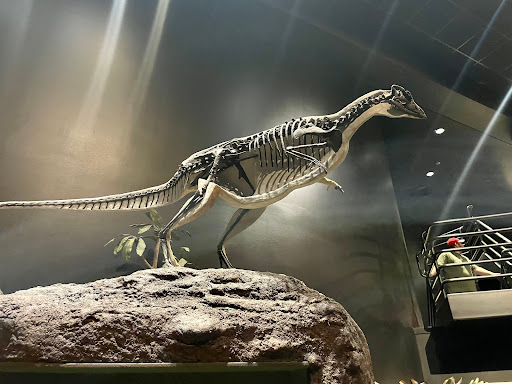 Science Museum «Museum of the Rockies», reviews and photos, 600 W Kagy Blvd, Bozeman, MT 59717, USA