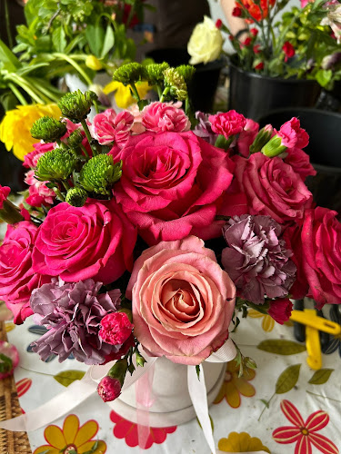 Warszawska 1, 21-500 Biała Podlaska