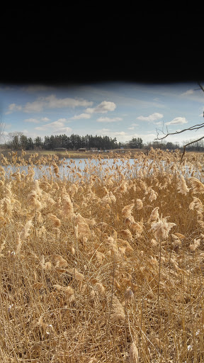 Nature Preserve «Nippersink Forest Preserve», reviews and photos, 900 W Belvidere Rd, Round Lake, IL 60073, USA