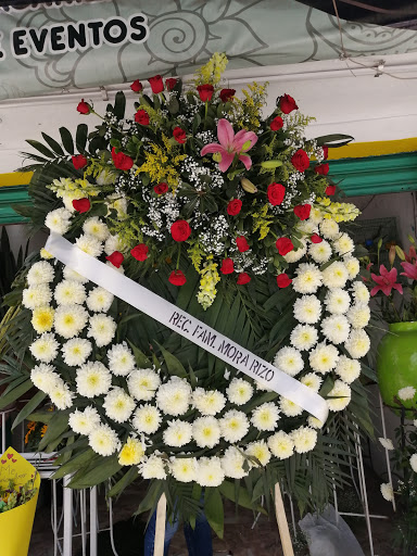 Diseño floral Manriquez