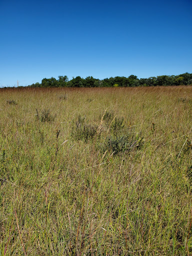 Nature Preserve «St. Croix Savanna Scientific and Natural Area (SNA)», reviews and photos, Osprey Blvd, Bayport, MN 55003, USA