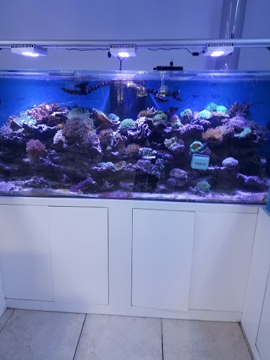 Aquarium «Aquarama Inc», reviews and photos, 2151 NW 27th Ave, Miami, FL 33142, USA