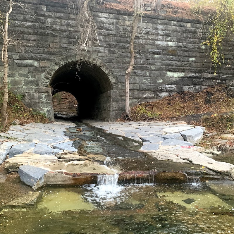 Saw Mill Branch/Buzzard Rock/Forest Glen Trails