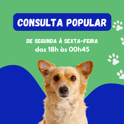 Clínica Veterinária Paraíso em Mauá - SP
