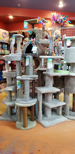 Pet Store «All Pets Club», reviews and photos, 1167 N Colony Rd, Wallingford, CT 06492, USA