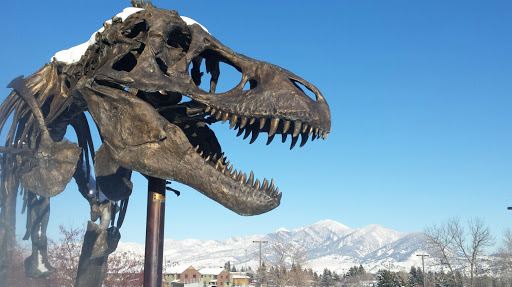 Science Museum «Museum of the Rockies», reviews and photos, 600 W Kagy Blvd, Bozeman, MT 59717, USA