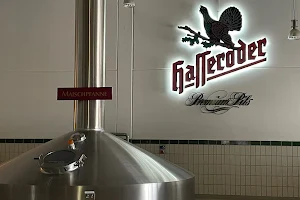 Hasseröder Brauerei GmbH image