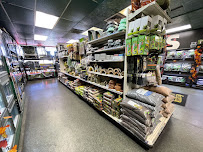 Scales 'N Tails Englewood - Photo 2 - Car repair in Englewood, CO, Denver