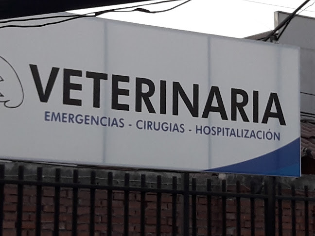 Hospital Veterinario Zoovet - Veterinario