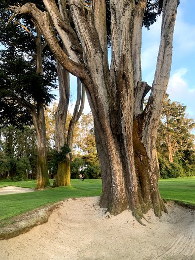 Golf Club «San Francisco Golf Club», reviews and photos, 1310 Junipero Serra Blvd, San Francisco, CA 94132, USA