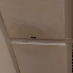 Photo n°7 de l'avis de Silvio. fait le 23/06/2019 à 08:42 sur le  Hotel Melody S.r.l à Deruta