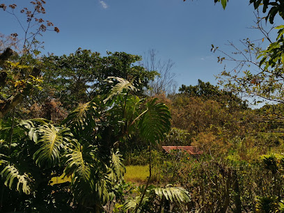 Gimnasio de Palmitos - 3HVF+F77, Provincia de Alajuela, Palmitos, Costa Rica