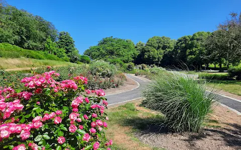 Rose garden in Westpark image