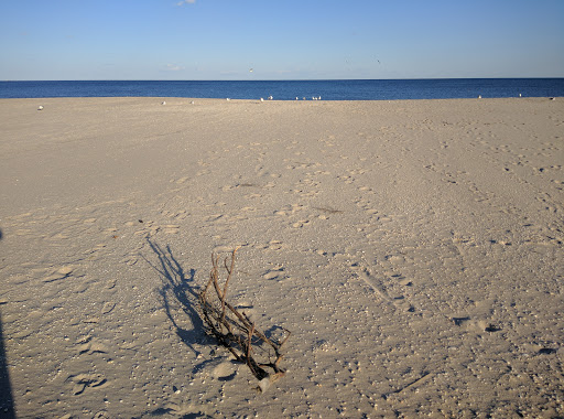 Miniature Golf Course «Lighthouse Point Miniature Golf Club», reviews and photos, 801 Boardwalk, Point Pleasant Beach, NJ 08742, USA