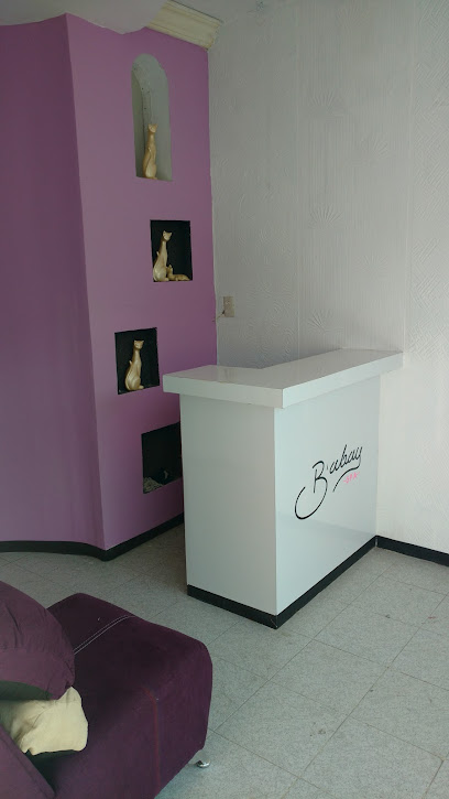 B,abay SPA - Calle Hidalgo 64, La Conchita, 56600 Chalco de Díaz Covarrubias, Méx., Mexico