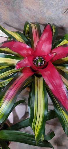 Supermarket «Giant Eagle Supermarket», reviews and photos, 909 E Main St, Ravenna, OH 44266, USA