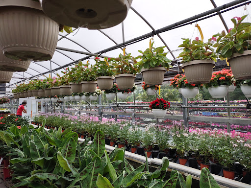 Plant Nursery «Blooming Acres», reviews and photos, 7561 State Rd, Wadsworth, OH 44281, USA