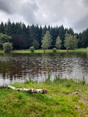 Plage de l'Étang de la Forêt à Chénérailles