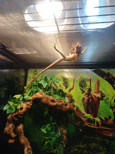 Pet Store «Pet Cove», reviews and photos, 820 E Center St, Kingsport, TN 37660, USA