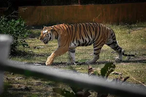 Mukundpur Zoo image