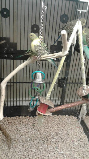 Pet Supply Store «PetSmart», reviews and photos, 901 US-1, North Brunswick Township, NJ 08902, USA