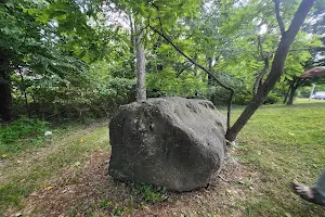 It's A Rock image