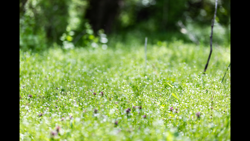 Nature Preserve «Kelley Nature Preserve», reviews and photos, 297 OH-126, Loveland, OH 45140, USA