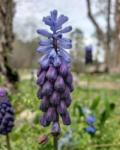 Park «Killens Pond State Park», reviews and photos, 5025 Killens Pond Rd, Felton, DE 19943, USA