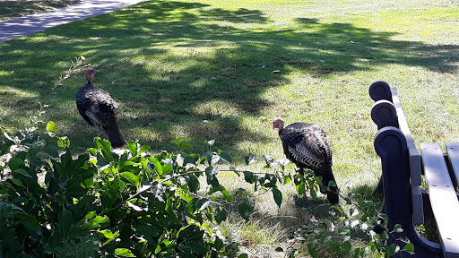 Golf Course «George Wright», reviews and photos, 420 West St, Hyde Park, MA 02136, USA