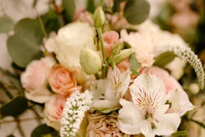 Roots and Wings Wedding Planning and Floral Design AKA Lil Orphan Annie’s Florist image