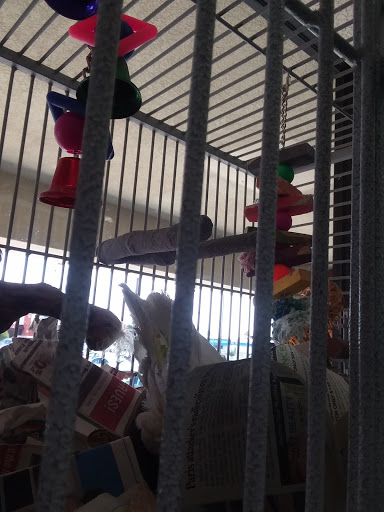 Pet Store «Wet Pets N Critters», reviews and photos, 103 TX-281 Loop, Longview, TX 75605, USA