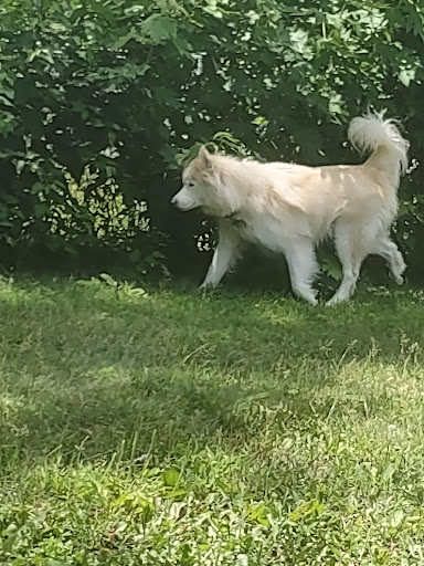 Pet Supply Store «Pet Supplies Plus», reviews and photos, 3100 Manchester Rd, Akron, OH 44319, USA