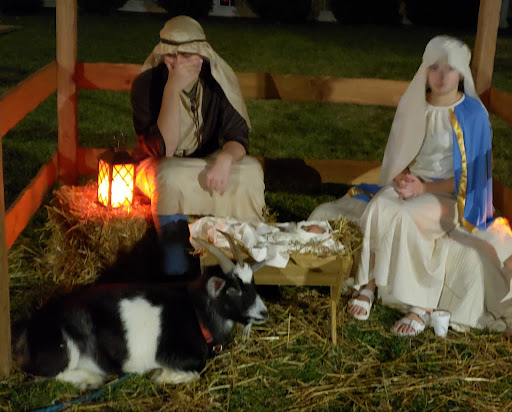 Pony Ride Service «Animals Unlimited LLC est 1996 travelling petting zoo/pony rides/travelling exotic animal programs .», reviews and photos, 16805 Mountain Rd, Montpelier, VA 23192, USA