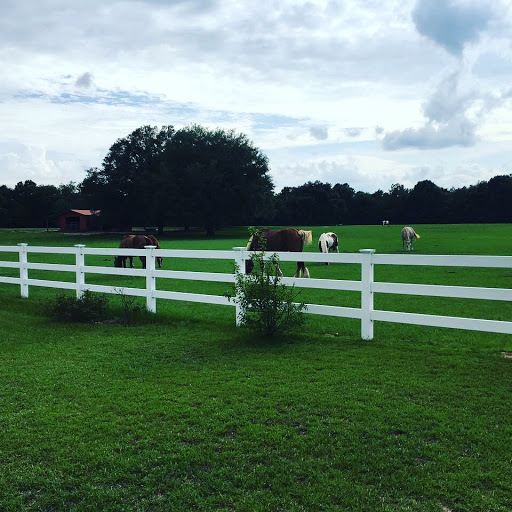 Clovis Point Stables