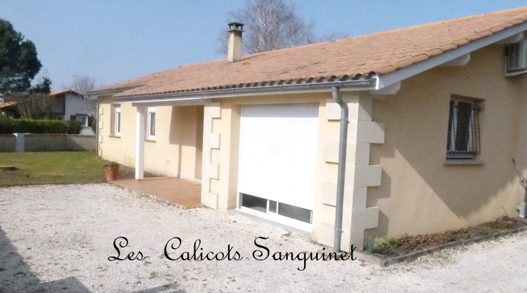 Photo Location d'appartement de vacances Les calicots Sanguinet 40460 Sanguinet